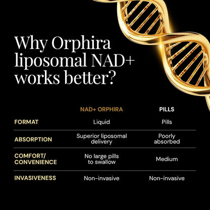 Orphira Liquid Liposomal NAD+ Supplement - 10x Better Absorption for Cellular Energy, Mental Clarity, Healthy Aging & Vitality Support - Enhanced NAD Plus, Vegan, Non-GMO - 30 Servings (4 fl oz) Orphira NutritionBuy Supplements Australia