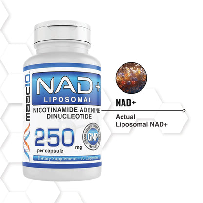 MAAC10 Liposomal NAD Supplement 500mg Serving (2x250mg Capsules) Actual Nicotinamide Adenine Dinucleotide MAAC10Buy Supplements Australia