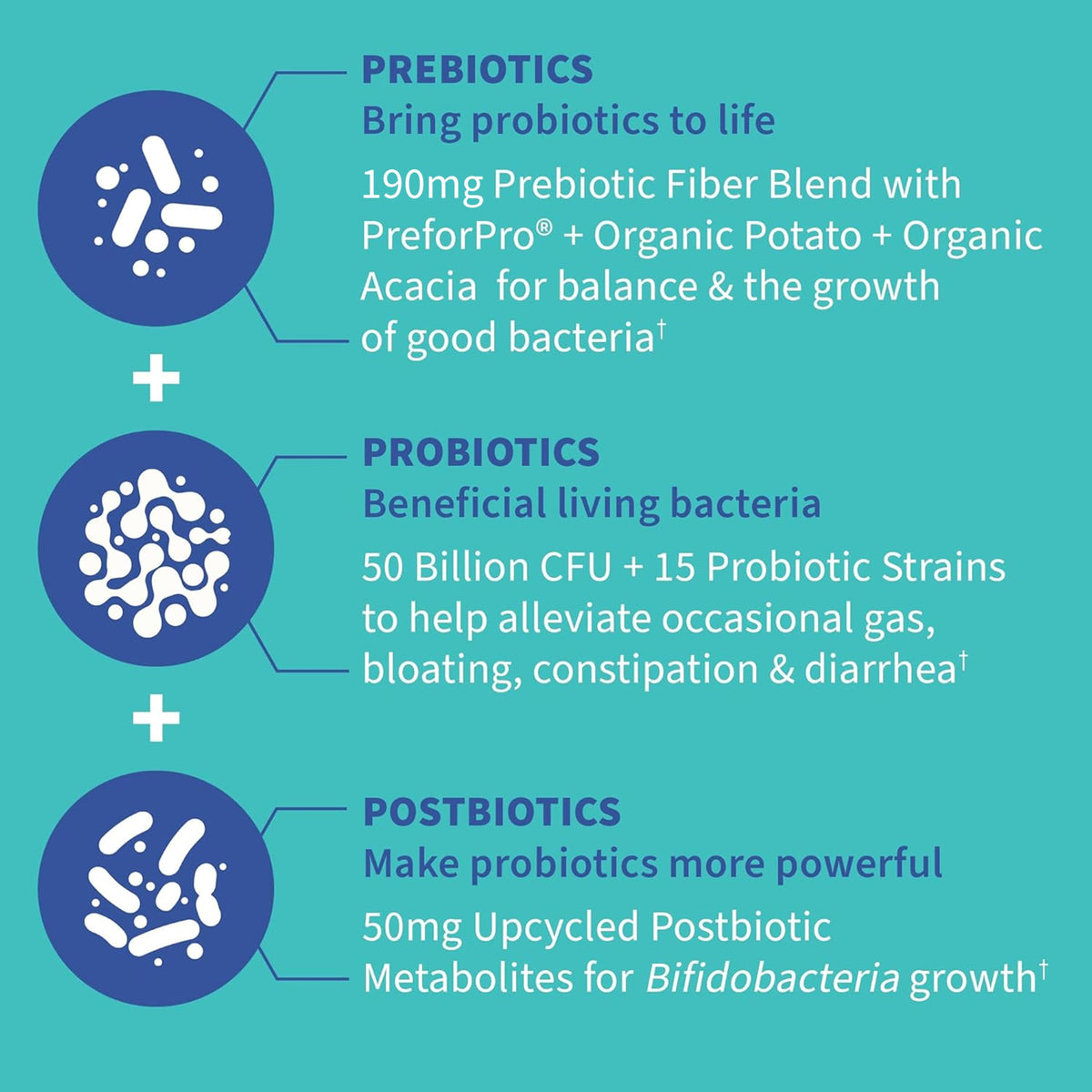 Garden of Life Dr. Formulated Pre, Post & Probiotics Gas & Bloating Once Daily 3-in-1 Complete Prebiotics, Postbiotics & Probiotics – 50 Billion CFU