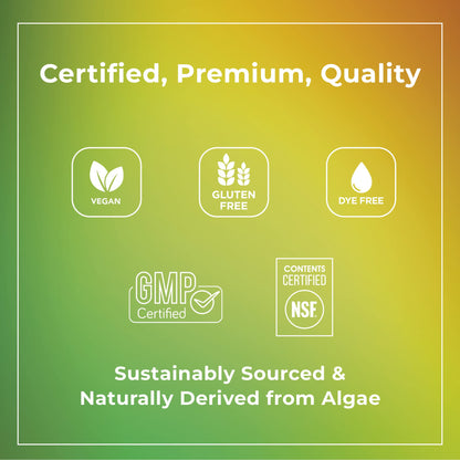 Theralogix PhytoLife Omega - 90-Day Supply - Vegan Algae Omega-3 Supplement TheralogixBuy Supplements Australia