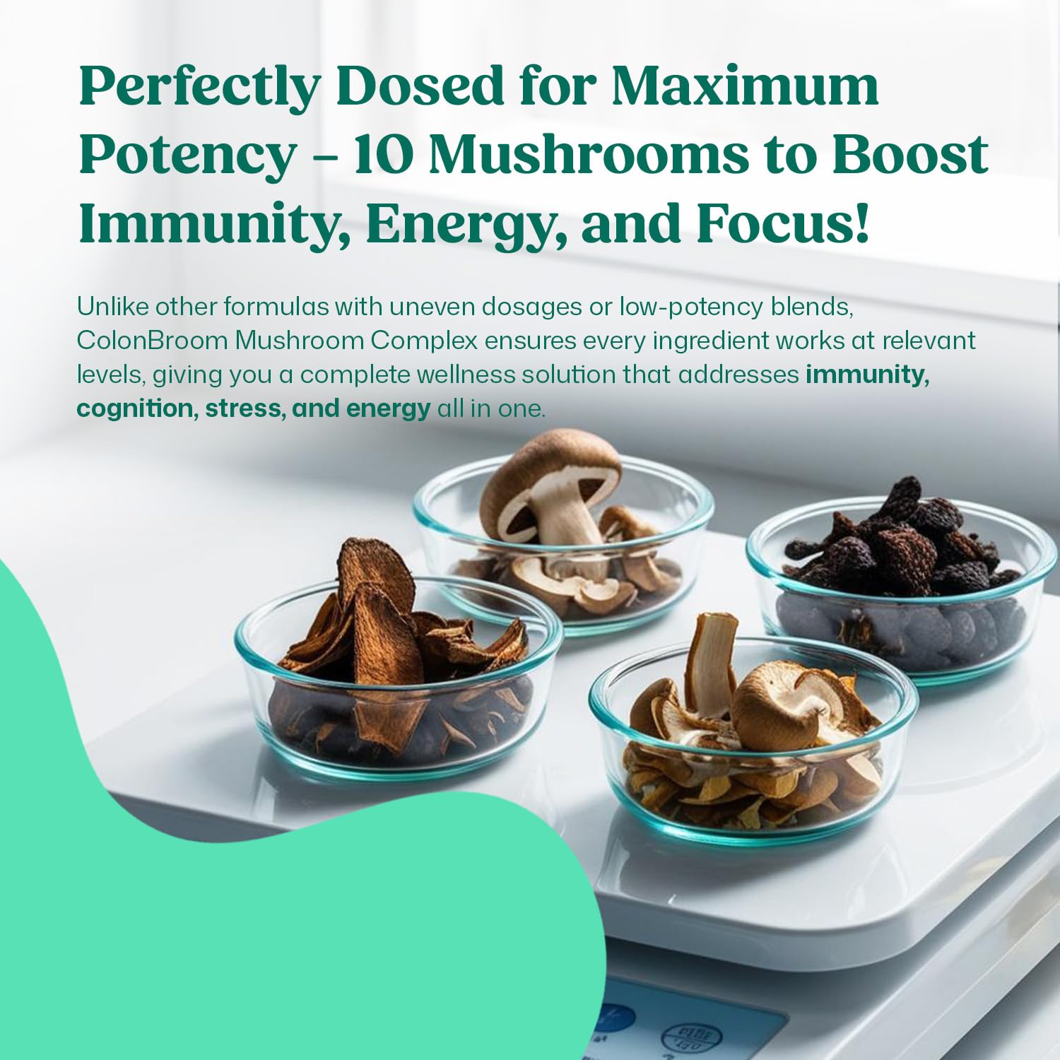 ColonBroom Mushroom Complex, Powerful Mushroom Blend with Cordyceps, Reishi, Shiitake, Lion’s Mane Extract for Energy, Immunity, Stress Relief & Cognitive Health - 60 Capsules, 30 Day Supply ColonBroomBuy Supplements Australia