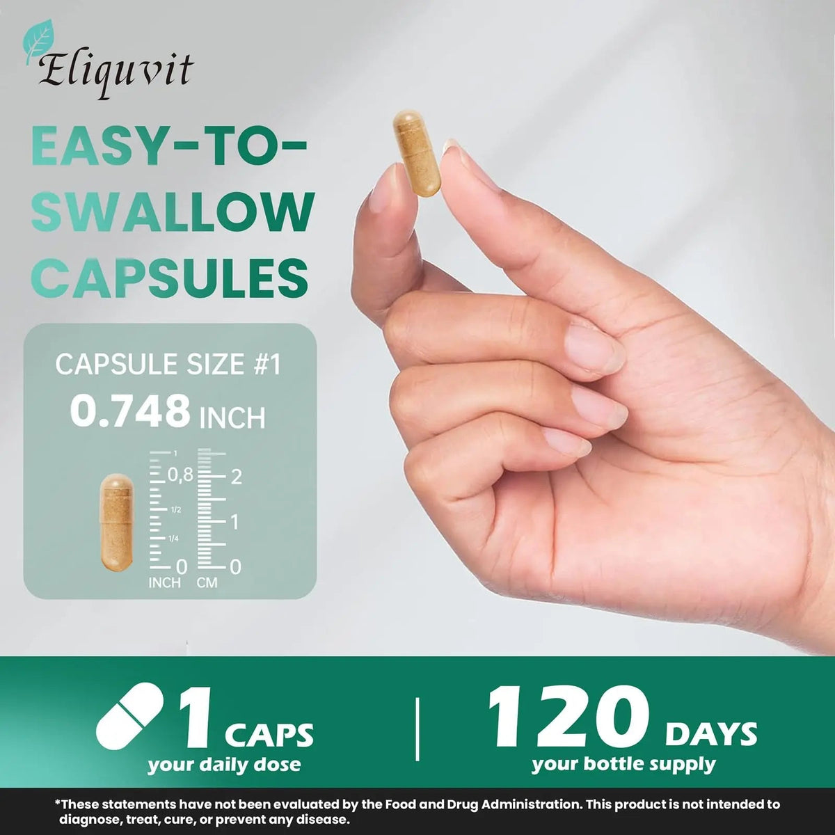 Eliquvit Methylated Multivitamin for Men & Women - Methylated B Complex with Methylfolate & B12-9-in-1 MTHFR Support + TMG - Vegan Multivitamin Eliquvit
