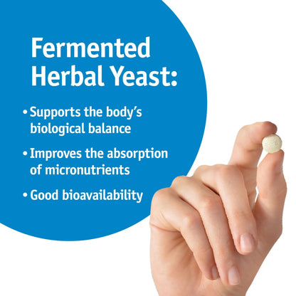 Strath Nutritional Yeast Tablets - Vegetarian, Lactose Free, Artificial Additive Free - Digestive Support, Nutrient Absorption - Unflavored Daily Supplement - Prebiotic and Postbiotic Bio-StrathBuy Supplements Australia
