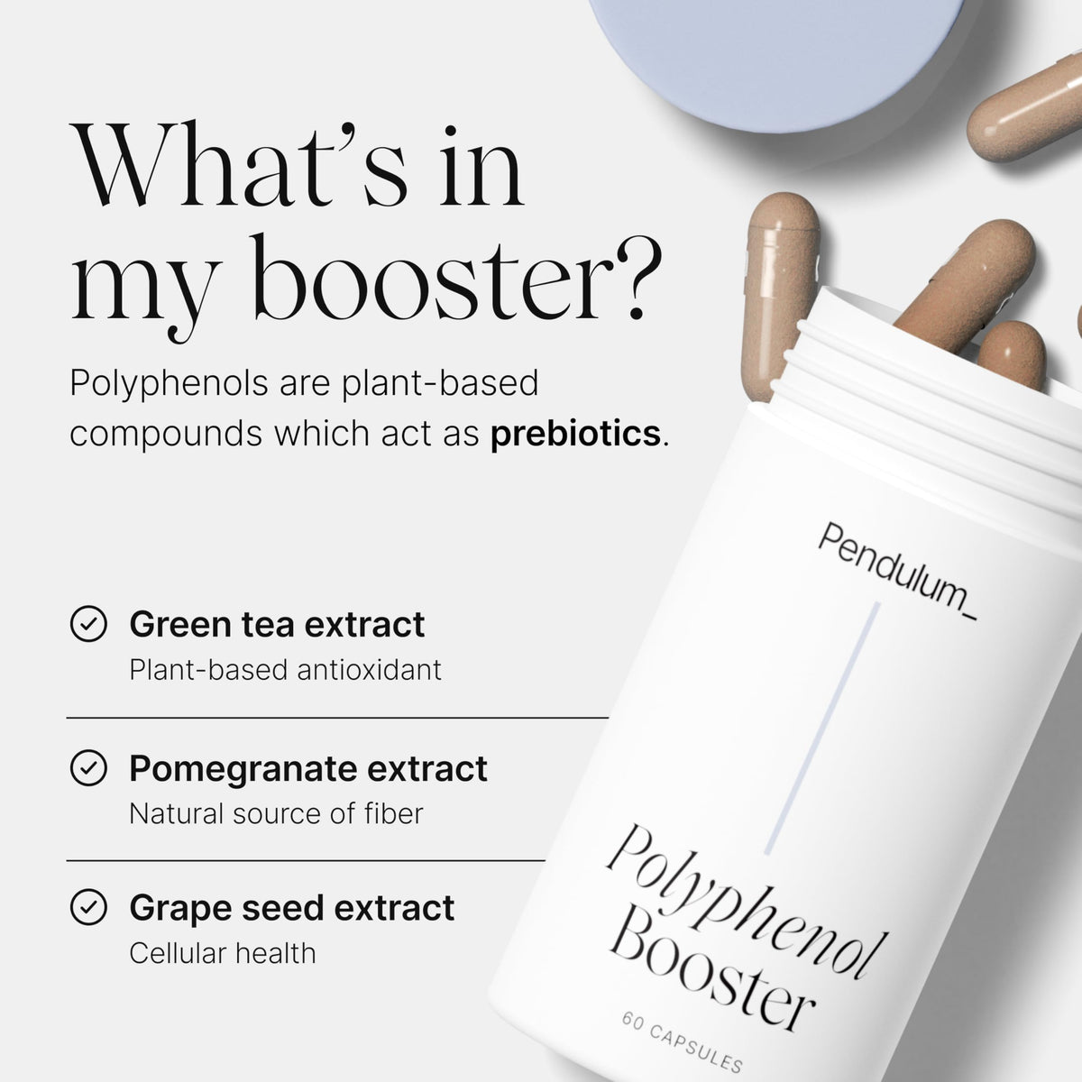 Pendulum Polyphenol Booster, Antioxidant from Superfoods, Beneficial Plant Compounds for Good Health, Helps Boost Akkermansia Muciniphila for Men & Women (60 Capsules, 1-Pack) PendulumBuy Supplements Australia
