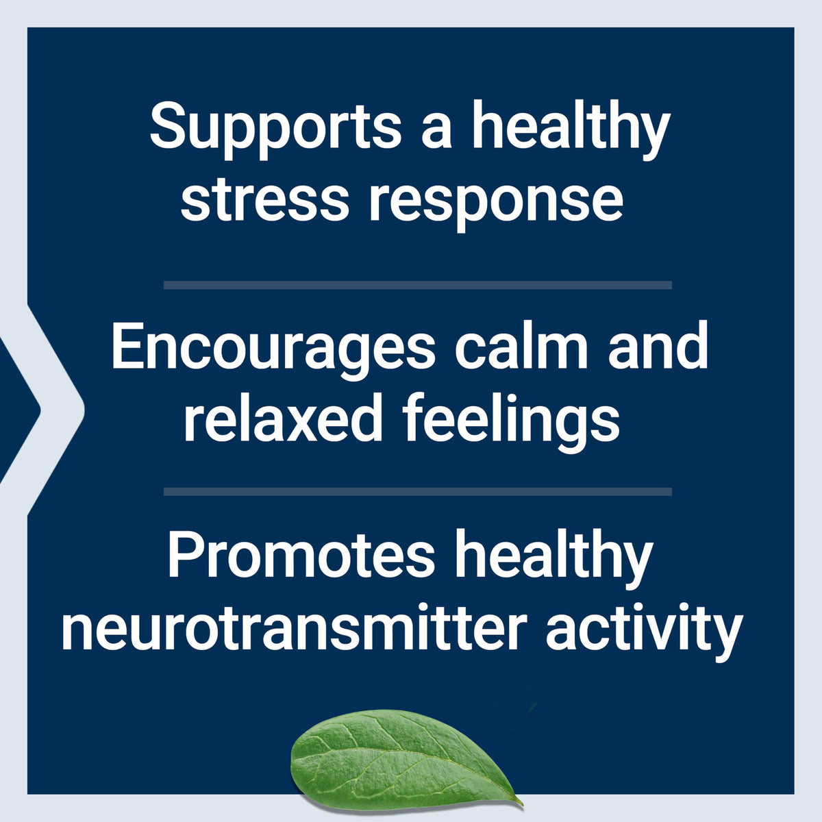 Life Extension Calm-Mag, Magnesium Acetyl taurinate, Daily Stress Management Formula, Supports Calmness and Relaxation, Gluten-Free, Non-GMO, Vegetarian, 30 Capsules Life ExtensionBuy Supplements Australia