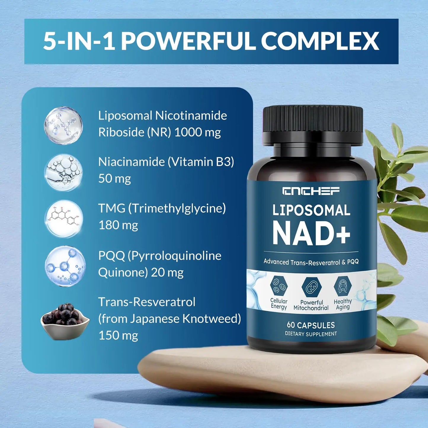 CNCHEF Liposomal NAD Supplement -1000mg, NAD Resveratrol Supplement for Women & Men with Nicotinamide Riboside, Resveratrol, PQQ & TMG, NAD Plus Boosts NAD+ Levels, Anti-Aging & Brain, 60 Capsules CNCHEFBuy Supplements Australia