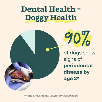 Woof Doggy Dental Pupsicle Mix - Dog Teeth Cleaning Powder for The Pupsicle - Long Lasting Postbiotic Dental Enzyme Mix to Support Oral Health for Dogs WOOFBuy Supplements Australia