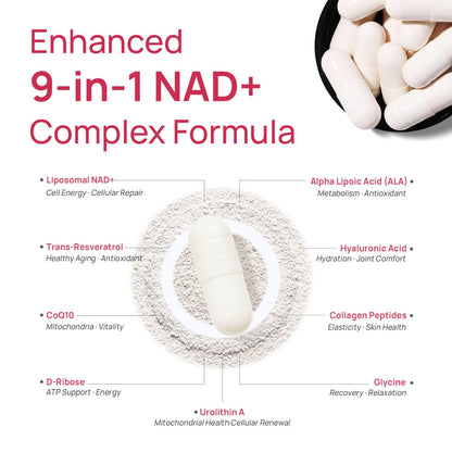 NAD+ Supplement for Women - NMN Alternative with β-NAD+, Trans-Resveratrol, CoQ10, D-Ribose - Promotes Cellular Renewal, Energy, and Radiant Skin Health - 60 Capsules Advanced SelerbBuy Supplements Australia
