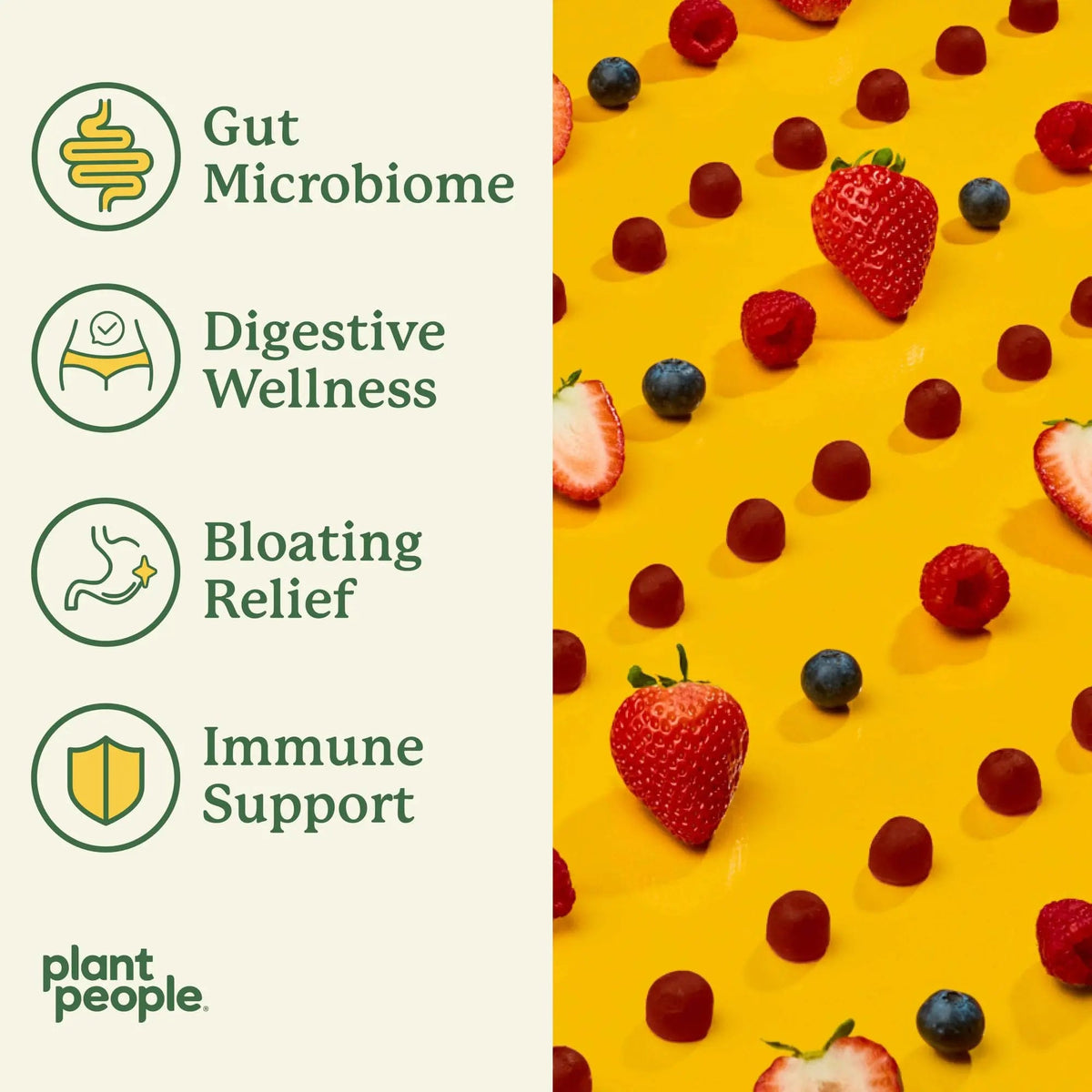 Plant People WonderBiome 2-in-1 Prebiotic + Probiotic Gummies – Zero-Sugar Vegan Digestive Health & Bloating Relief – 5 Billion CFU Bacillus Subtilis DE111 + Artichoke & Chicory – 60 Count Plant PeopleBuy Supplements Australia