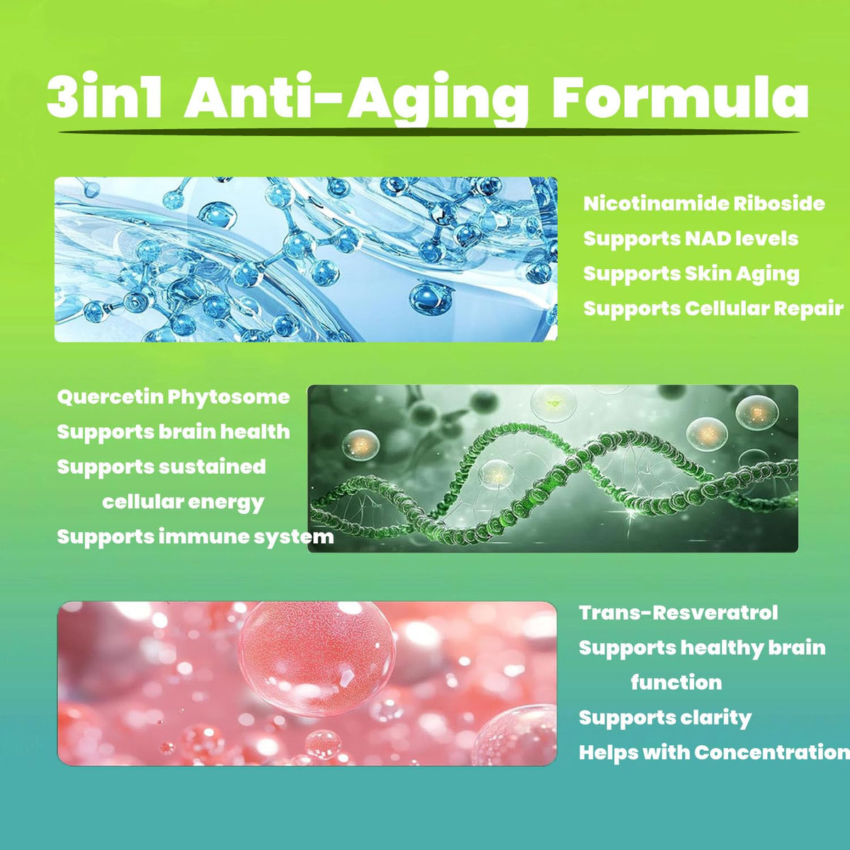 Renyqatt NAD+ Supplement - Liposomal Nicotinamide Riboside - Supplement for Anti-Aging, Energy, Focus - 80 Capsules（1B） RenyqattBuy Supplements Australia