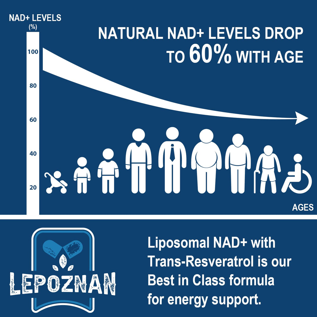 Lepoznan Liposomal NAD+ 500 mg + Trans-Resveratrol 300 mg, Superior Absorption True NAD Supplement Efficient for Cellular Energy Metabolism & DNA Repair, 60 Softgels LepoznanBuy Supplements Australia