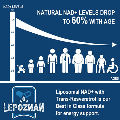 Lepoznan Liposomal NAD+ 500 mg + Trans-Resveratrol 300 mg, Superior Absorption True NAD Supplement Efficient for Cellular Energy Metabolism & DNA Repair, 60 Softgels LepoznanBuy Supplements Australia