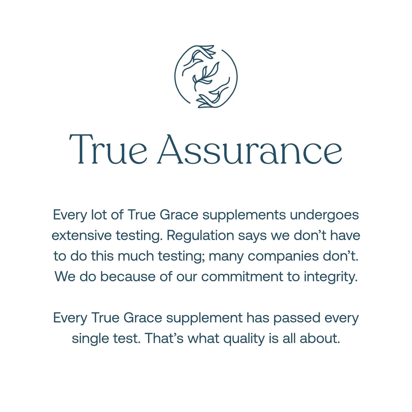 True Grace Men's 40+ One Daily Multivitamin Fermented Minerals, Organic Adaptogens & Mushrooms Whole Body Balance Immune True Grace