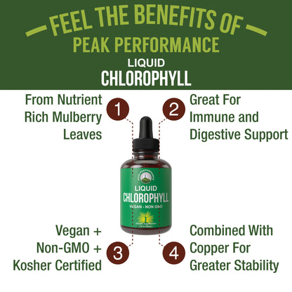 Chlorophyll Liquid Drops - Ultra High Purity, Alcohol Free, Non-GMO, Gluten Free Liquid Chlorophyll Drops Supplement. Take with Water. Internal Deodorant + Skin Care, Immune, and Digestive Support Peak PerformanceBuy Supplements Australia