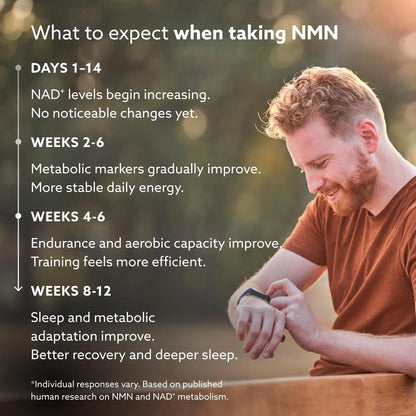 PUROVITALIS Liposomal NMN, 250mg Longevir Nicotinamide Mononucleotide Supplement, NAD+ Boost for Cellular Health, Energy & Healthy Aging, 1-Month Supply (60 Vegan Capsules) PUROVITALISBuy Supplements Australia