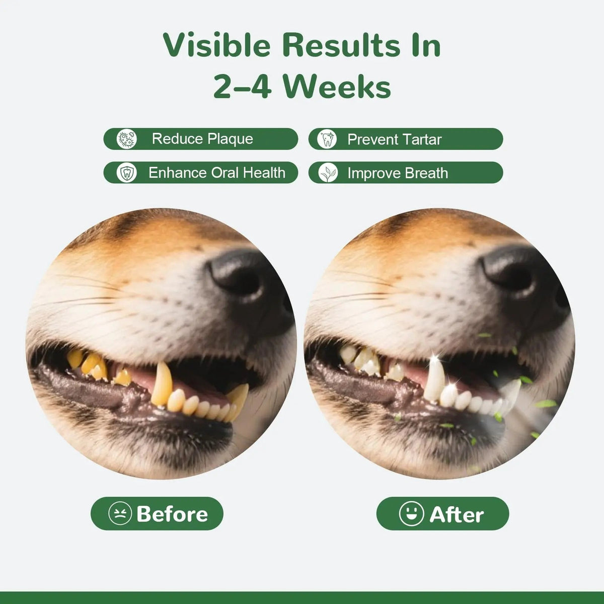 Vetriuntrix Dog Teeth Cleaning Powder, Dental Powder for Dogs Teeth Tartar Remove & Plaque Off, Fresh Breath for Dogs with Natural Plants Blend, Enzymes and Postbiotics, 300g VetriuntrixBuy Supplements Australia