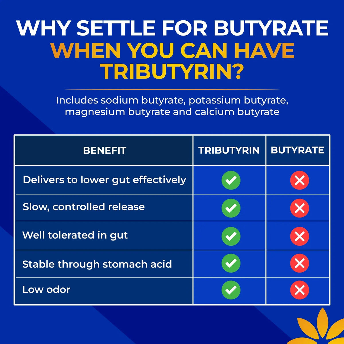 Tributyrin Supplement - Better Delivery & More Effective than Sodium Butyrate - Gut Health & Digestive Support - 3-in-1 Butyrate Postbiotics for Leaky Gut & Gut Barrier Support - 30 Capsules Vita Bloom LabsBuy Supplements Australia