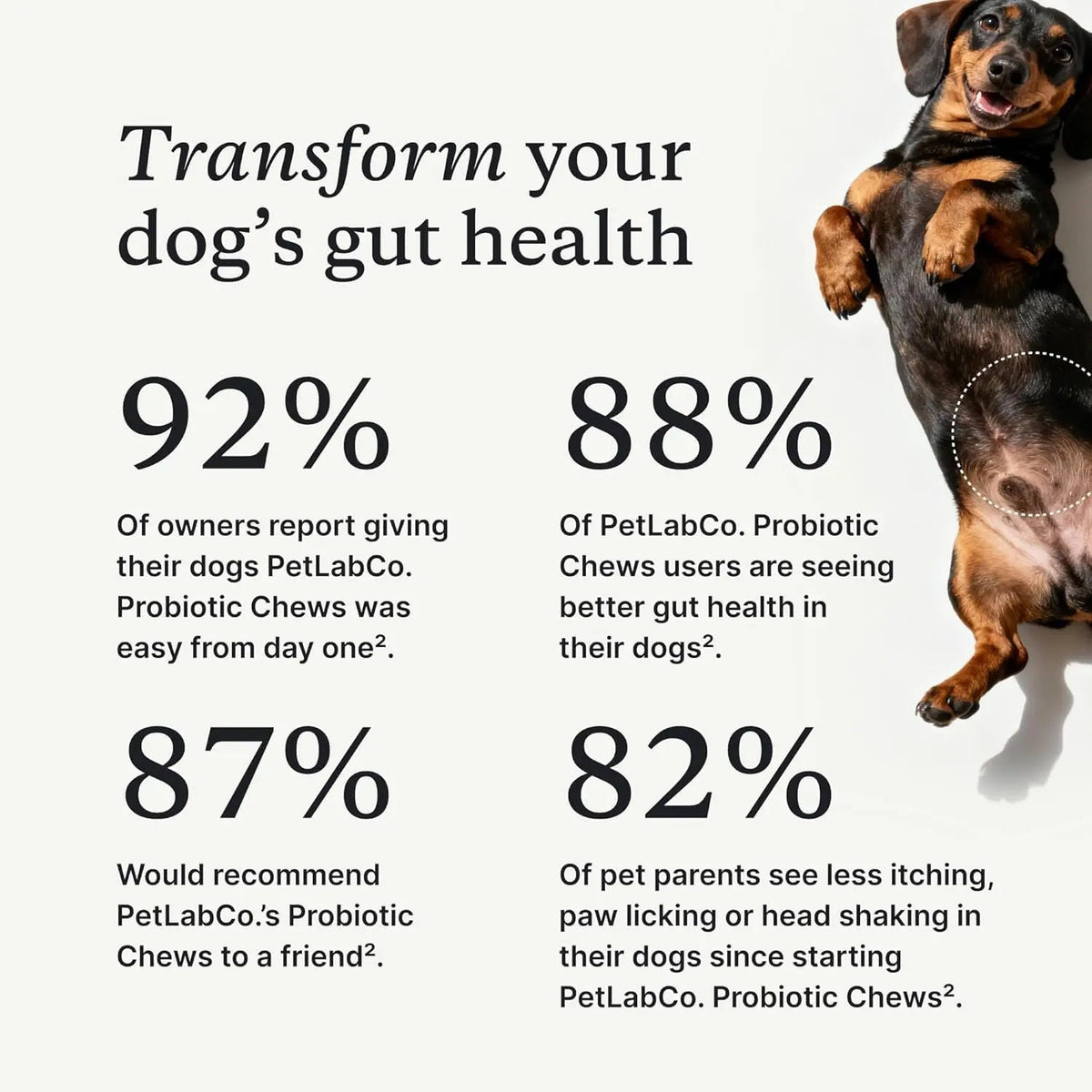 PetLab Co. Probiotics for Dogs, Support Gut Health, Occasional Diarrhea, Digestive Health & Seasonal Allergies - Salmon Flavor - Packaging May Vary - 30 Soft Chews PetLab Co.Buy Supplements Australia