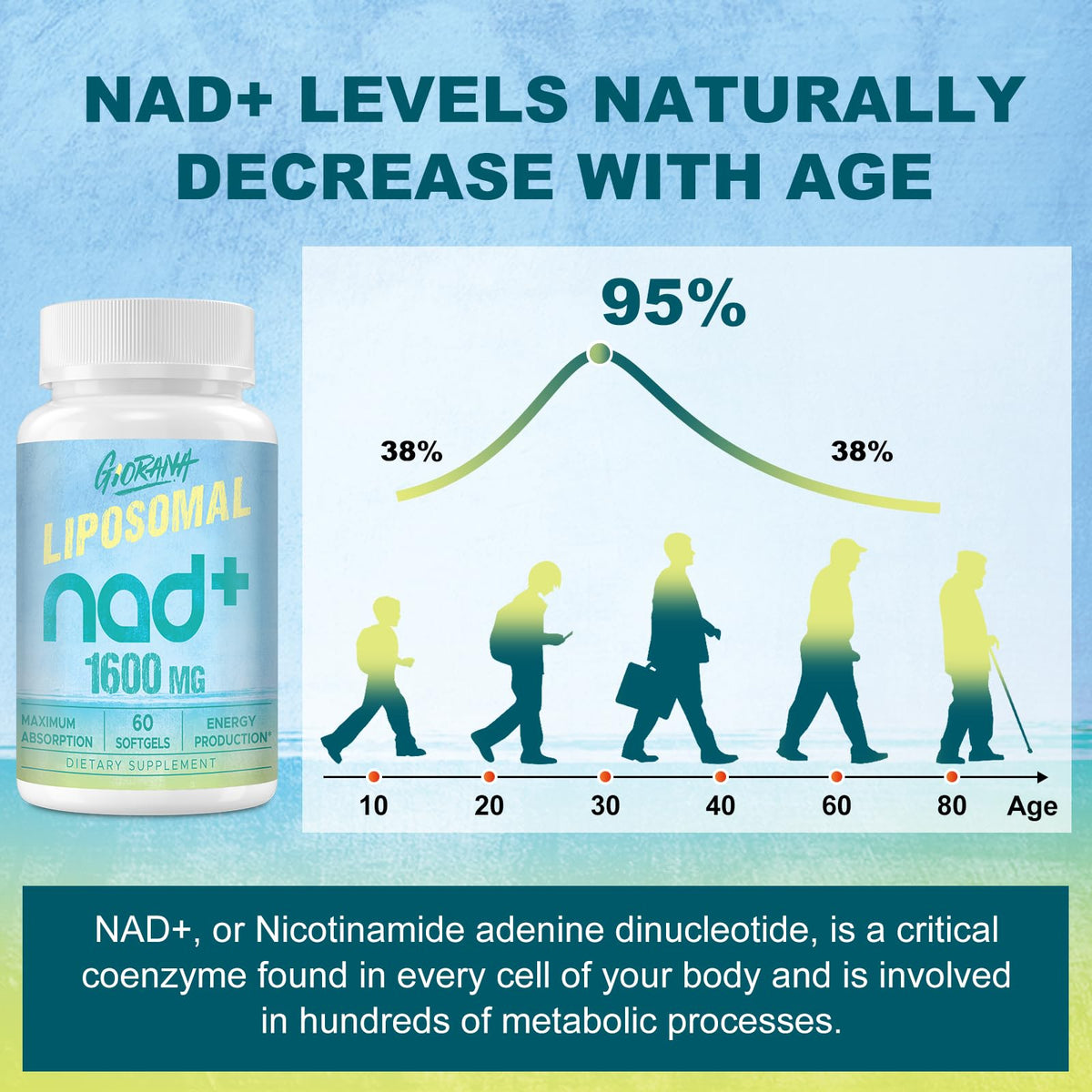 GIORANA 1600 MG Liposomal NAD+ Supplement, NAD+ Boosting Supplement, Superior Absorption, Vitamin B3 for Aging Defense, Longevity, Energy, Repair, Non-GMO, 60 Softgels GIORANABuy Supplements Australia