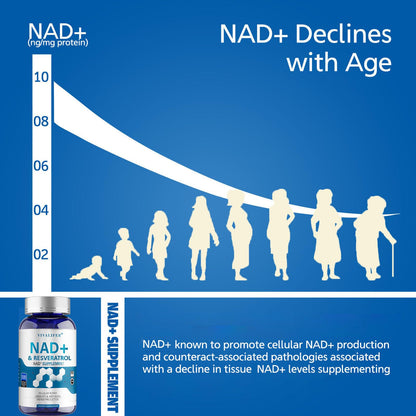 DQQI NMN Supplement Alternative 1500 mg - 120 Capsules (40 Day Supply) High Purity NAD+ & Resveratrol for Anti-Aging, Antioxidant Support, Energy & Focus Boost DQQIBuy Supplements Australia