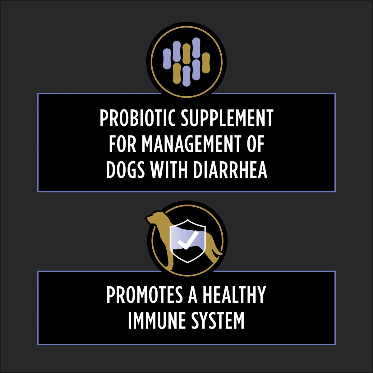 Purina Pro Plan Veterinary Supplements FortiFlora Daily Probiotics for Dogs Chewable Tablets for Digestive Gut Health and Diarrhea - 90 ct. Canister Pro Plan Veterinary DietsBuy Supplements Australia