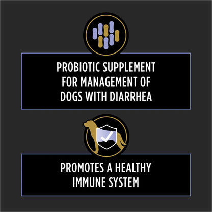 Purina Pro Plan Veterinary Supplements FortiFlora Daily Probiotics for Dogs Chewable Tablets for Digestive Gut Health and Diarrhea - 90 ct. Canister Pro Plan Veterinary DietsBuy Supplements Australia