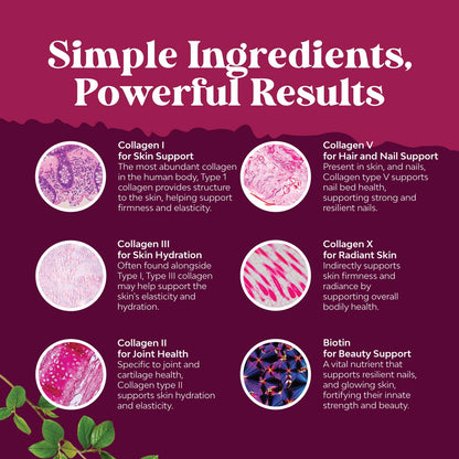 Advanced Multi Collagen Complex - Ageless Multi Collagen Peptides Supplements with Type 1 2 3 5 & X & Biotin for Hair, Skin and Nails Vitamins - Biotin Supplements for Women & Men - 90 Count Natures CraftBuy Supplements Australia