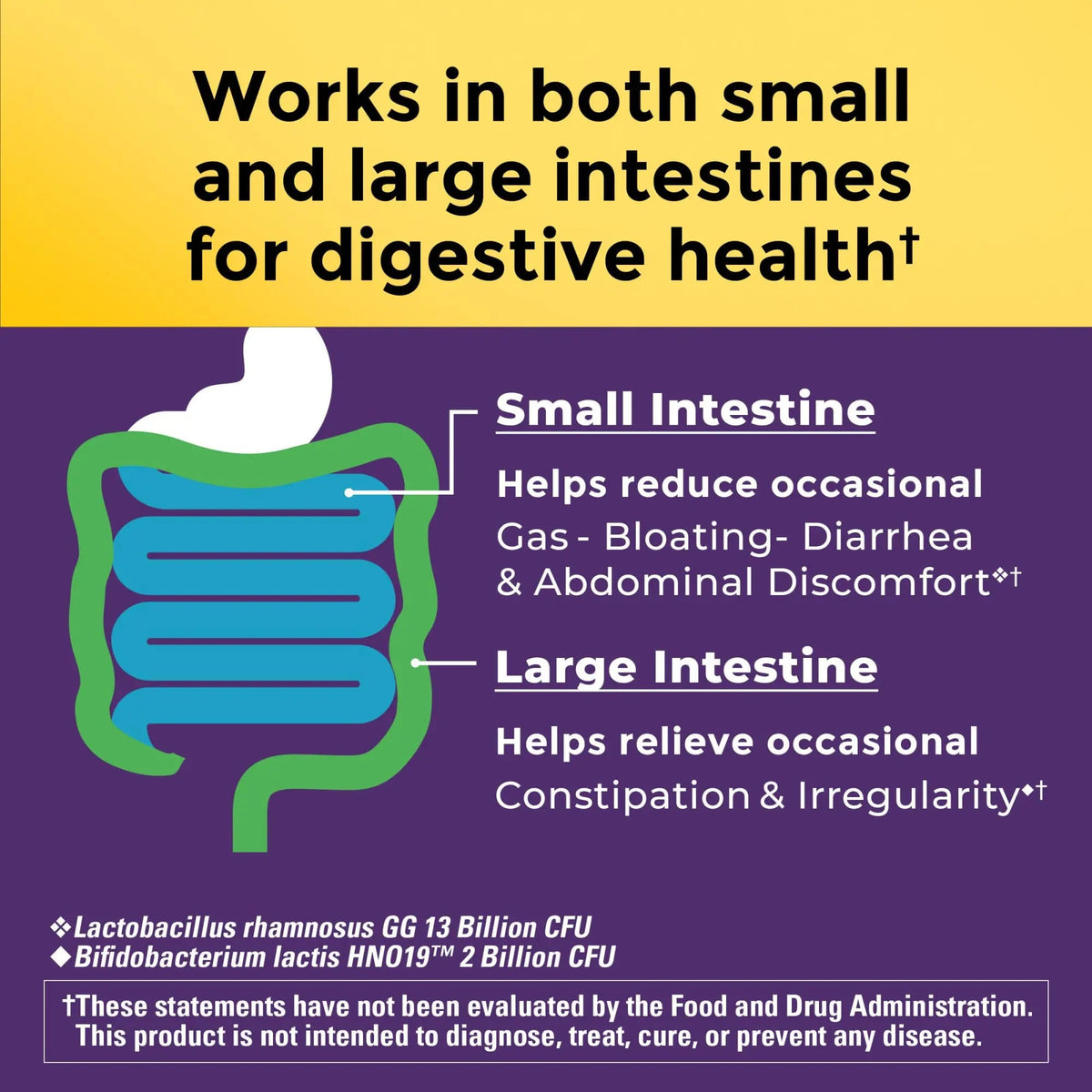 Nature Made Probiotics for Digestive Health Extra Strength 15 Billion CFU from Live Cultures, Probiotics for Women and Men, 30 Probiotic Capsules, 30 Day Supply Nature MadeBuy Supplements Australia