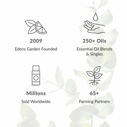 Edens Garden Digest Ease Essential Oil Synergy Blend, 100% Pure Therapeutic Grade Edens GardenBuy Supplements Australia