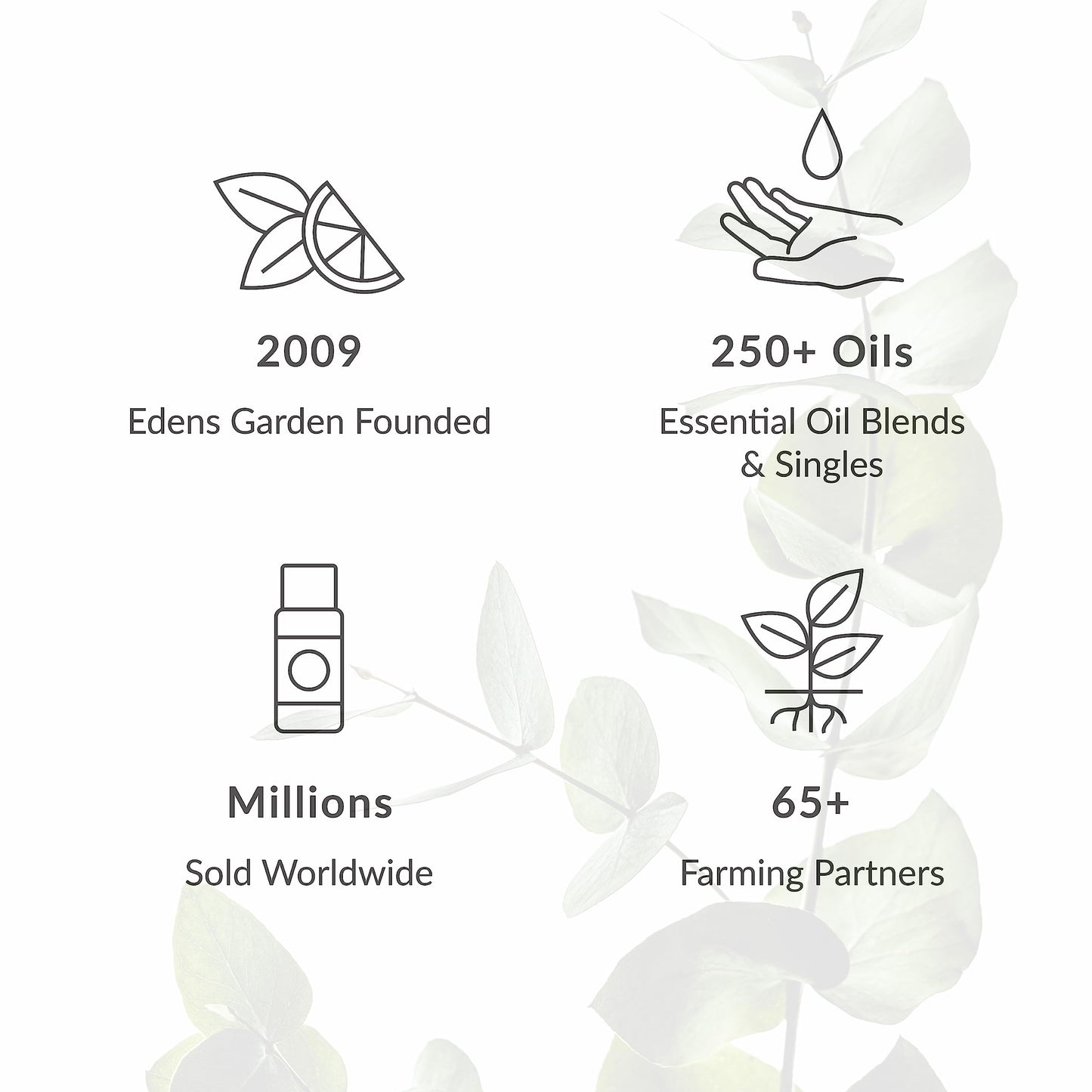 Edens Garden Breathe Easier Essential Oil Synergy Blend, 100% Pure Therapeutic Grade Edens GardenBuy Supplements Australia