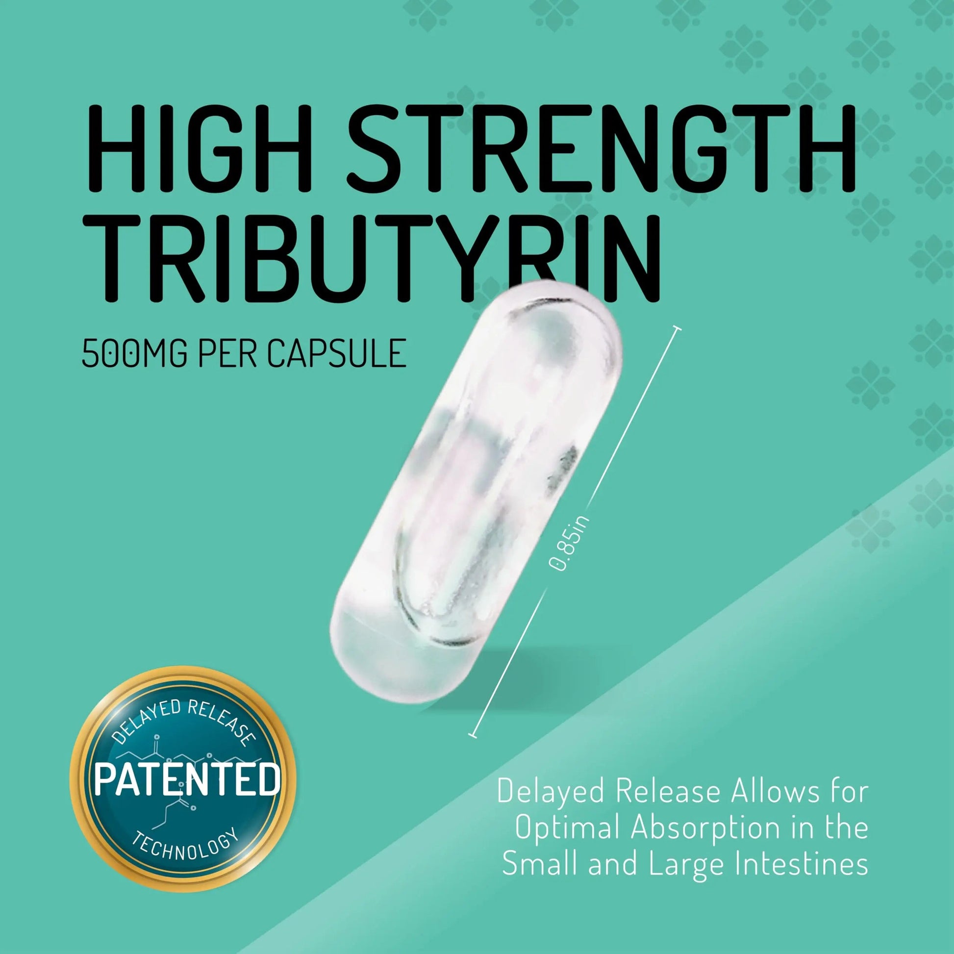 Healus Complete Biotic - Postbiotic Tributyrin Supplement - Postbiotics for Gut Health - Butyrate Gut Health Supplement HealusBuy Supplements Australia