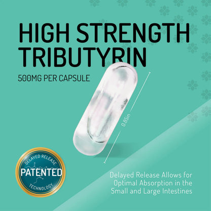 Healus Complete Biotic - Postbiotic Tributyrin Supplement - Postbiotics for Gut Health - Butyrate Gut Health Supplement HealusBuy Supplements Australia