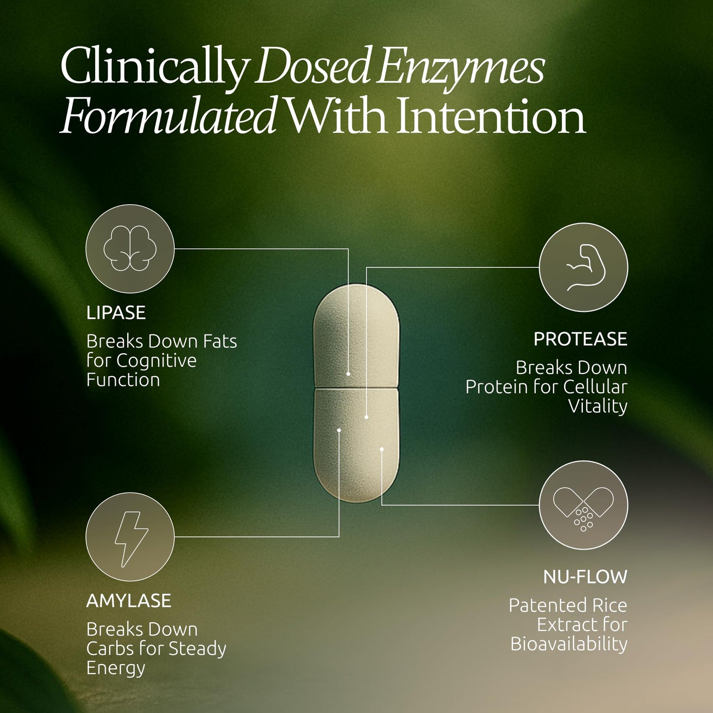 Boulder Bio Digestive Enzymes | 40,000 USP Lipase - Prescription Strength Pancreatic Enzyme Replacement Formula for Fat Digestion, Gut Health & Nutrient Absorption