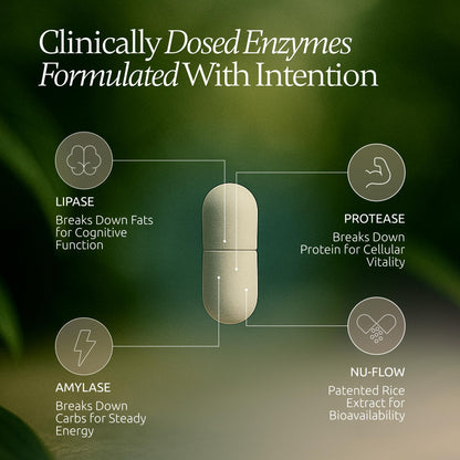 Boulder Bio Digestive Enzymes | 40,000 USP Lipase - Prescription Strength Pancreatic Enzyme Replacement Formula for Fat Digestion, Gut Health & Nutrient Absorption