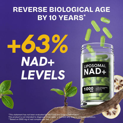 Liposomal NAD Supplement for Women w/Noni | 5-in-1 NAD Resveratrol Supplement w/Berberine & Quercetin | Pure NMN Powder Alternative | Supports Anti Aging & NAD+ Levels | 60 caps - 1 Pack Resurrected HealthBuy Supplements Australia