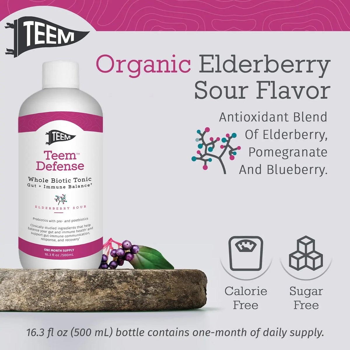 Teem Defense Liquid Probiotic with Elderberry, Whole Biotic Tonic for Digestion & Immunity, Prebiotic Probiotic & Postbiotic Supplement for Kids and Adults, 30 Day Supply – 16.3 Fl.Oz TeemBuy Supplements Australia