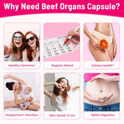 12-In-1 Beef Organ Supplement for Women - Beef Liver, Uterus, Kidney, Heart, Pancreas, 5 Vitamins & 2 Herbs, Hormone Balance, Menstruation, Energy, Immune - 100% Grass Fed, Pasture Raise - 120 Caps NassiouyBuy Supplements Australia