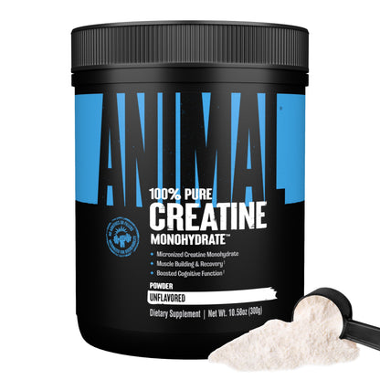 Animal Creatine Monohydrate Powder – Micronized Creatine for Women and Men, Supports Muscle Growth, Strength, Endurance, Recovery and ATP Production, Gym & Workout Supplements - Unflavored, 300g AnimalBuy Supplements Australia