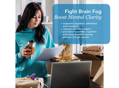 Zeal Naturals Creatine with Electrolytes & Brain Health Nootropics - 30 Servings | Women's Support for Energy, Strength, Focus, & Hydration with B Vitamins | Lemon Sorbet | Zero Sugar No Bloat Formula Zeal NaturalsBuy Supplements Australia