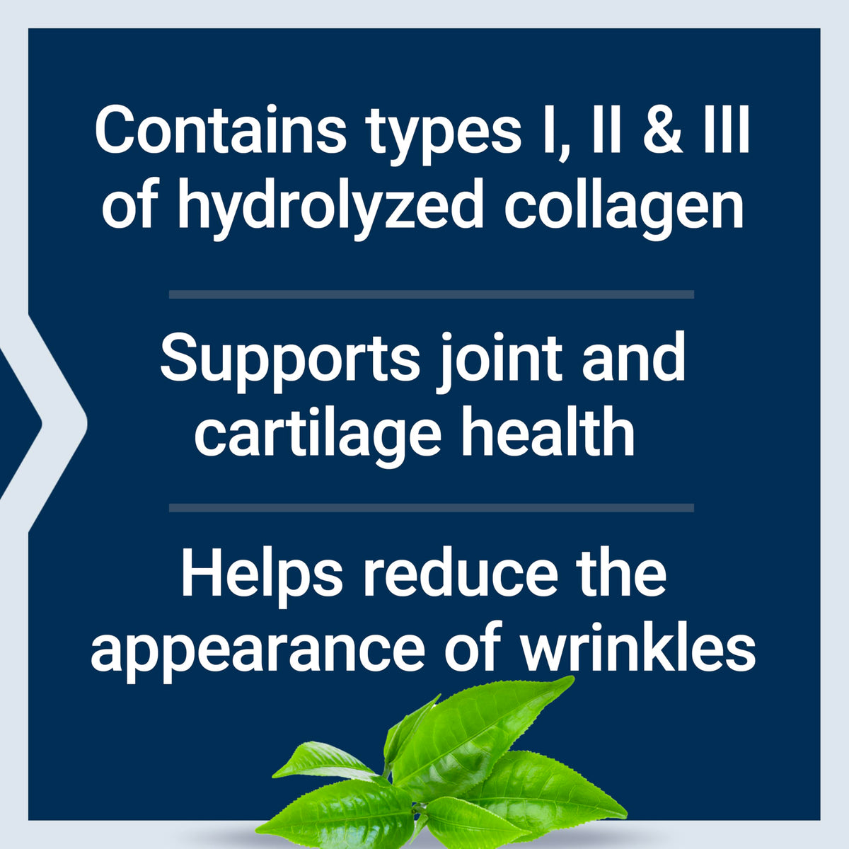Life Extension Collagen Peptides for Skin & Joints, Collagen Types I, II & III in an Easy-Mix Powder, Gluten Free, Non-GMO, net Weight 343 Grams Life ExtensionBuy Supplements Australia