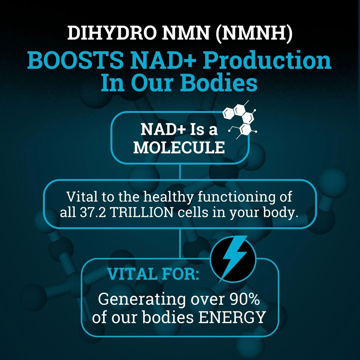 NMNH Supplement 250MG Pure Dihydro-Nicotinamide Mononucleotide (NMN Supplement Alternative with Bioperine® For 3X The Bioavailability) NAD Supplement to Boost NAD+ Levels For Anti-Aging & Energy Black ForestBuy Supplements Australia