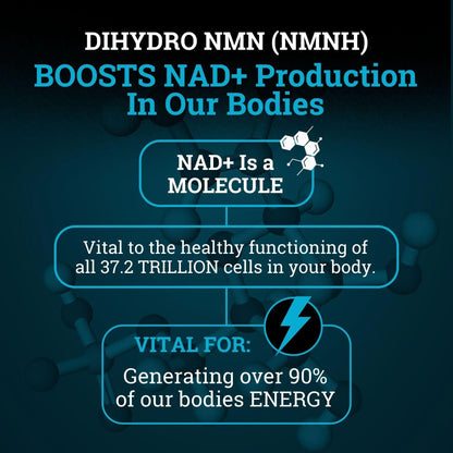 NMNH Supplement 250MG Pure Dihydro-Nicotinamide Mononucleotide (NMN Supplement Alternative with Bioperine® For 3X The Bioavailability) NAD Supplement to Boost NAD+ Levels For Anti-Aging & Energy Black ForestBuy Supplements Australia