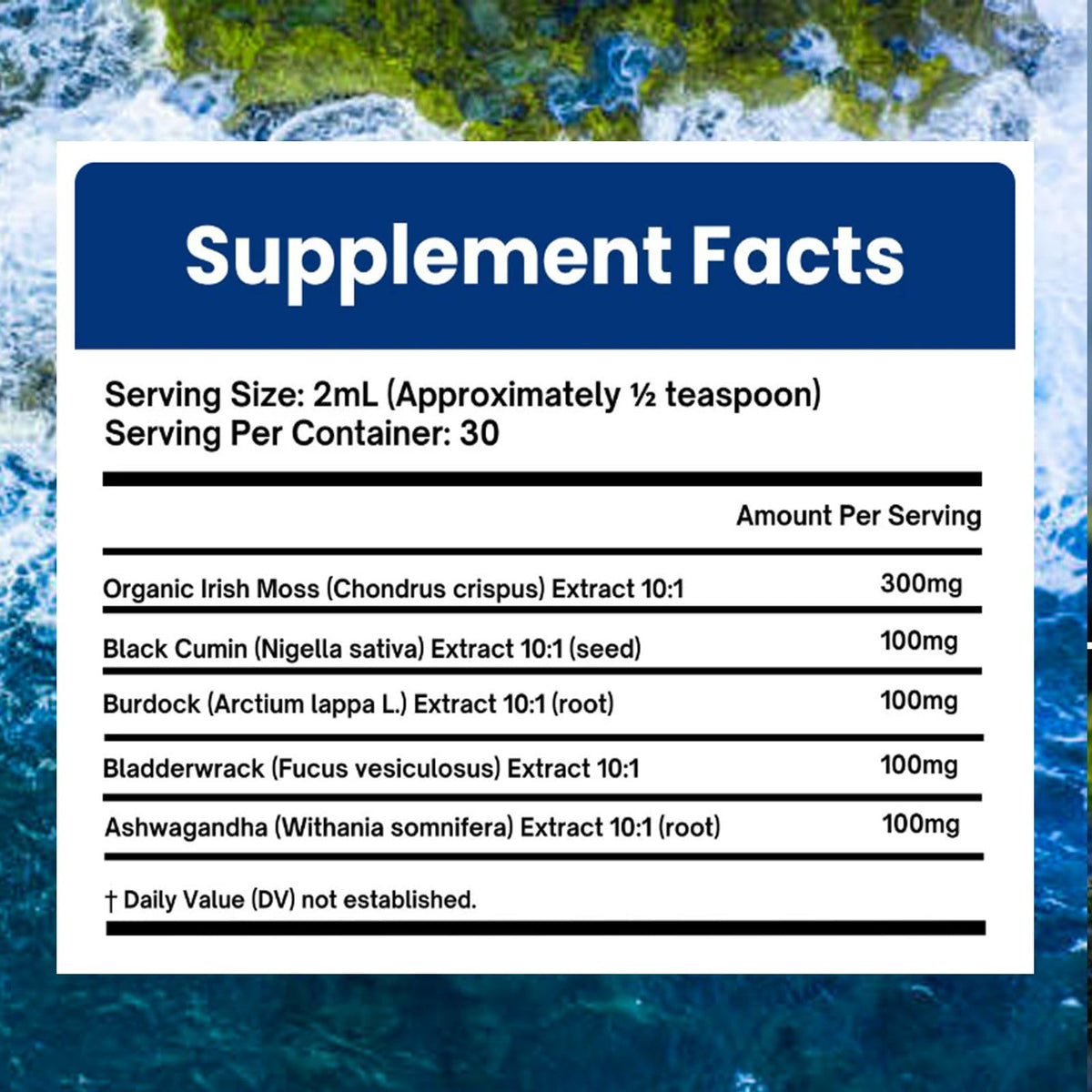Velestoff Irish Seamoss Thyroid Hormone Regulator, Velestoff Thyroid Support Drops | Sea Moss, Black Seed Oil, Ashwagandha, Burdock Root, Bladderwrack, Hormone Balance & Support - 2 FL.OZ (1 Pcs) Velestoff buy supplements Au