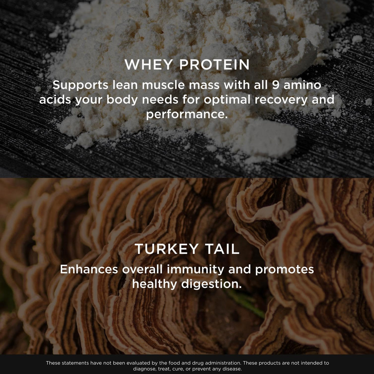 The Genius Brand Protein Powder - Chocolate + Adaptogenic Mushroom Blend - Plant-Based Protein with Reishi, Cordyceps & Lion’s Mane - Daily Muscle Recovery & Immune Support - 20 Servings The Genius BrandBuy Supplements Australia
