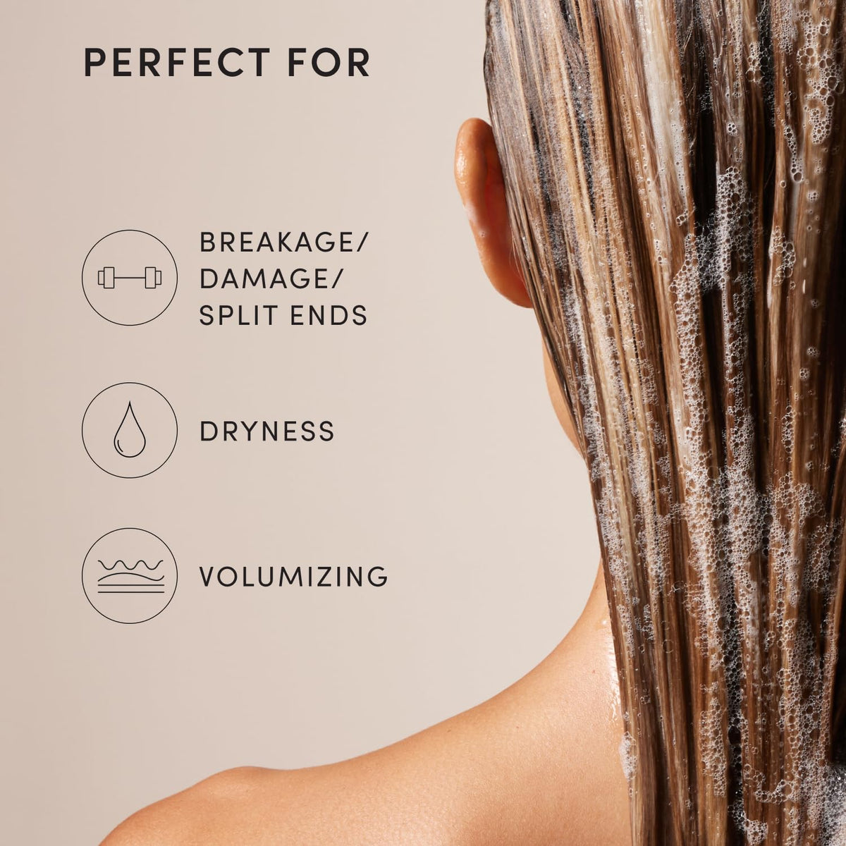 OUAI Fine Hair Shampoo - Volumizing Shampoo for Fine, Flat Strands - Made with Biotin, Keratin & Chia Seed Oil - Strengthens, Nourishes & Thickens - Color-Safe & Sulfate Free Hair Care (10 Fl oz) OUAIBuy Supplements Australia