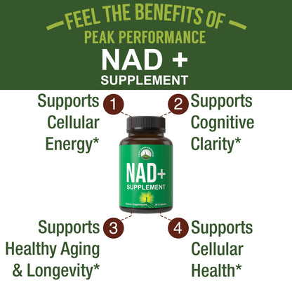 Ultra High Purity NAD Supplement for Women and Men. NAD+ Similar to Nicotinamide Riboside. Supports Energy, Brain Function, Healthy Aging & Longevity. Third Party Tested Non-GMO Supplements Peak PerformanceBuy Supplements Australia