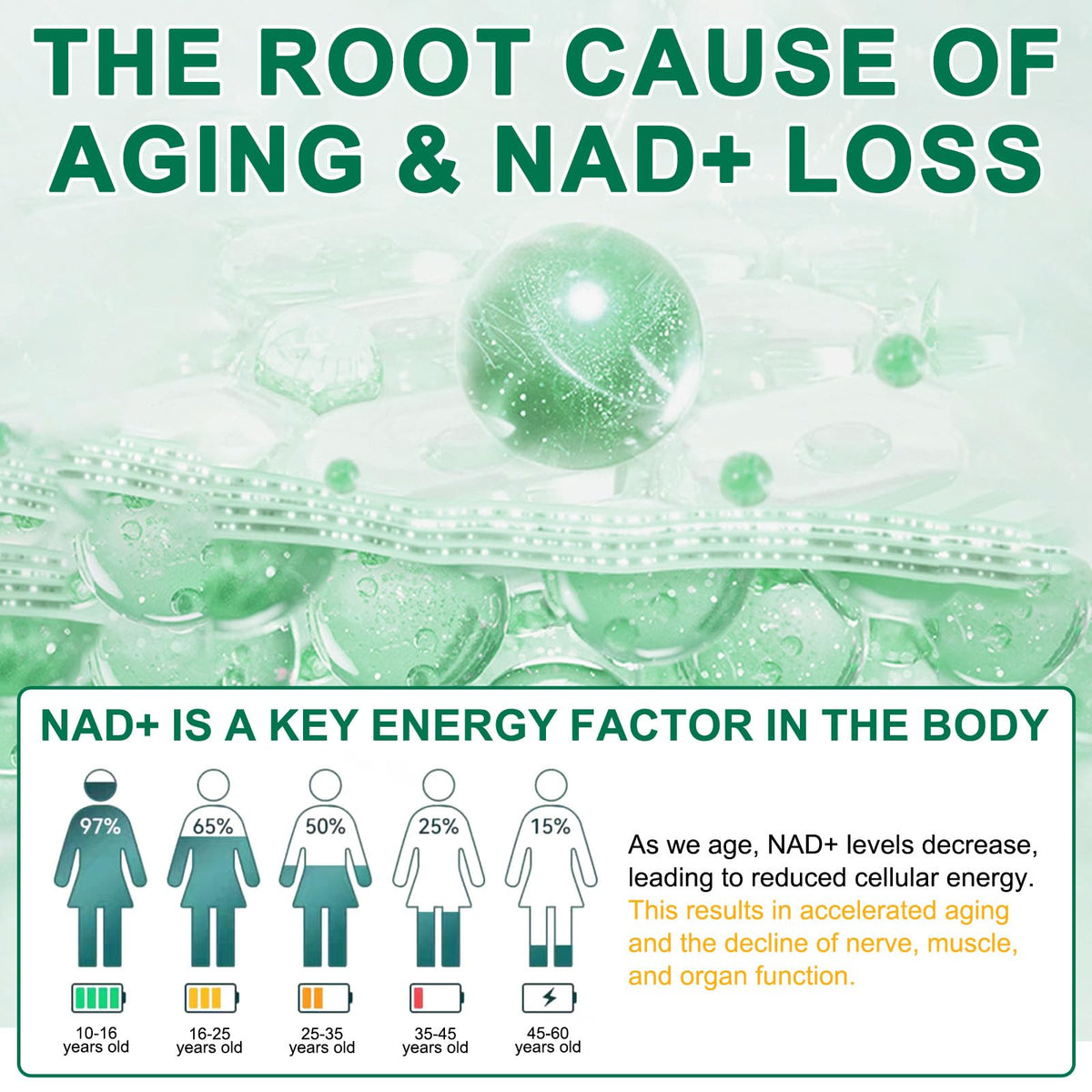 NAD Supplement 120 Capsules, Liposomal Nicotinamide Riboside, Resveratrol, Quercetin, NAD Nicotinamide Riboside Resveratrol 910mg for Women & Men, NAD Supplement for Anti Aging and Cell Regeneration KZUOBuy Supplements Australia