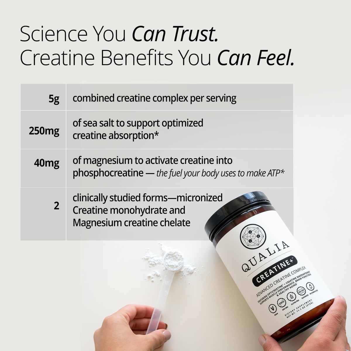 Qualia Creatine | Advanced Creatine Complex | 2 Sources + Magnesium | Optimized Absorption | Muscle Performance, Brain Function, & Healthy Aging QUALIA LIFE SCIENCESBuy Supplements Australia
