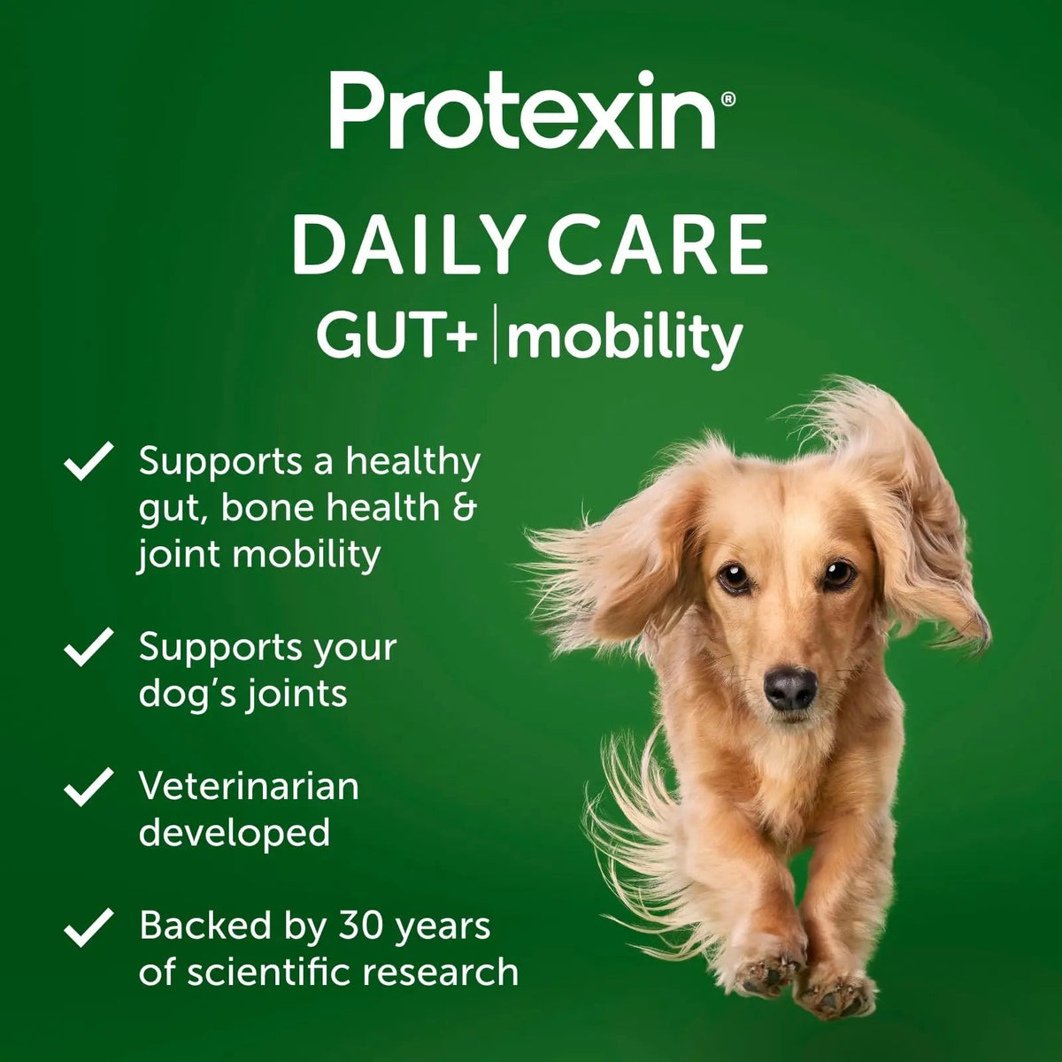 Protexin Daily Care Gut+ Mobility | 60 Dog Chews, Chicken and Bacon Flavor Dog Supplement | Probiotics for Dogs, Dog Postbiotics ProtexinBuy Supplements Australia