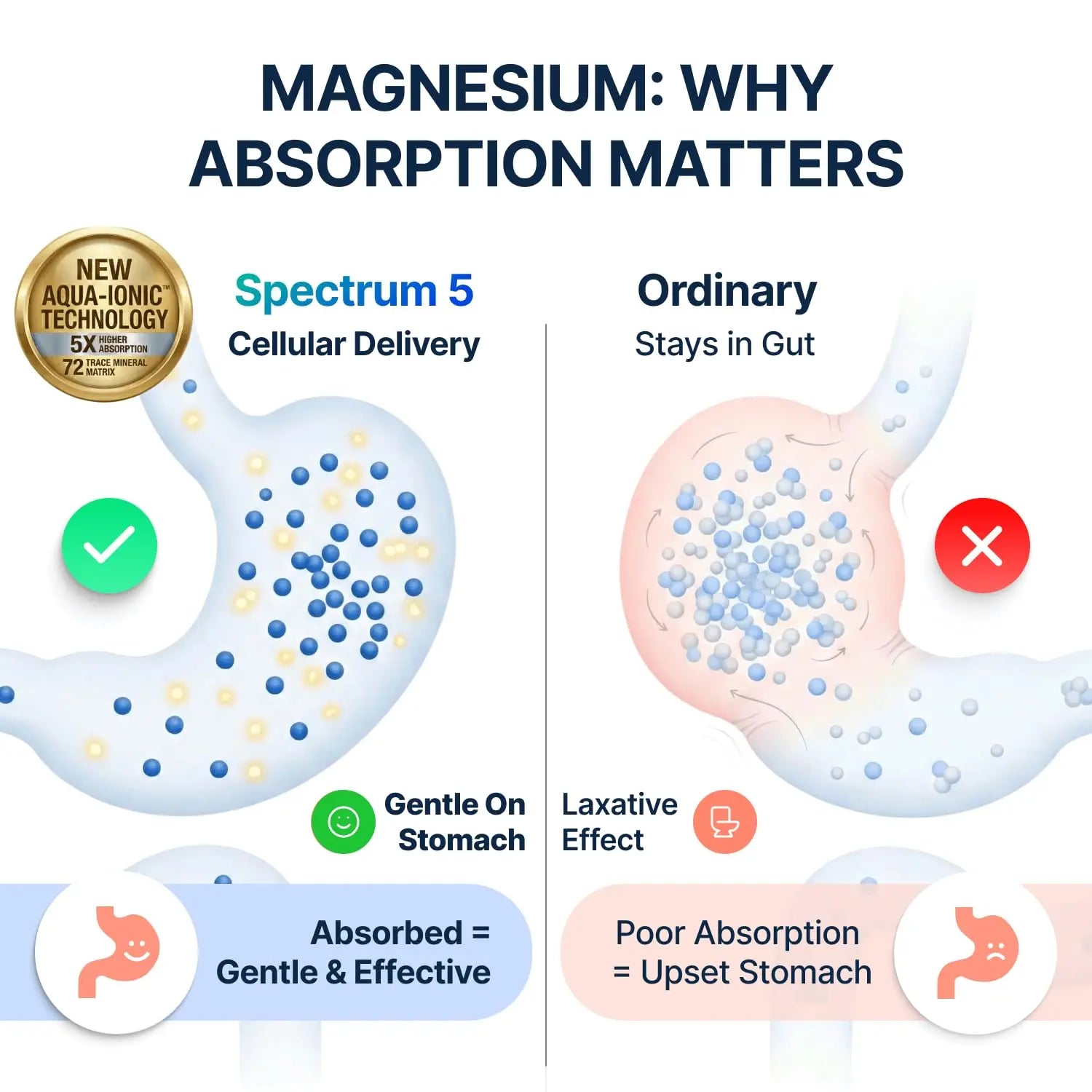 Spectrum 5 Magnesium | 5-in-1 Complex + 72 Trace Minerals for Enhanced Absorption | Irish Sea Sourced | 500mg per Serving SonoHealth canada supplements